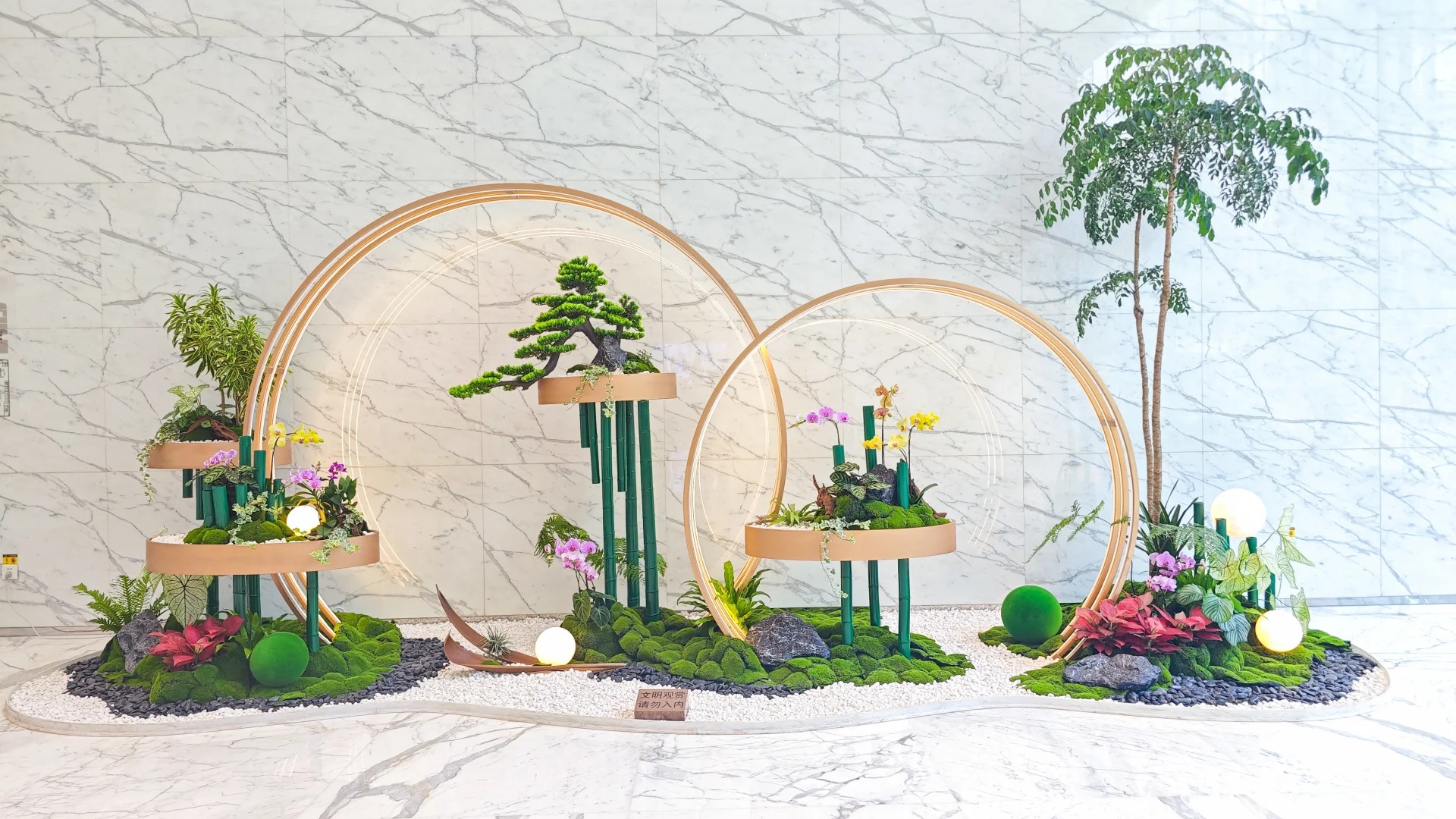 价格实惠的宁波江北盆景租赁,速来!